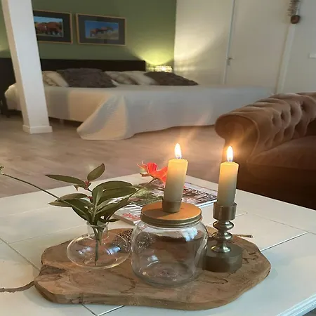 Alluring In With Terrace Garden&bbq