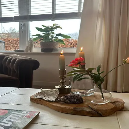 Apartment Alluring In With Terrace Garden&bbq
