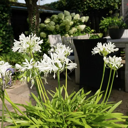 Alluring In With Terrace Garden And Bbq *