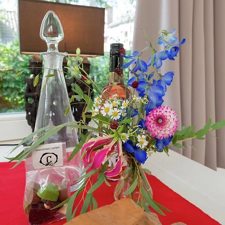 Alluring In With Terrace Garden And Bbq Bergen