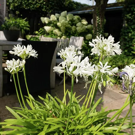 Apartment Alluring In With Terrace Garden&bbq Bergen