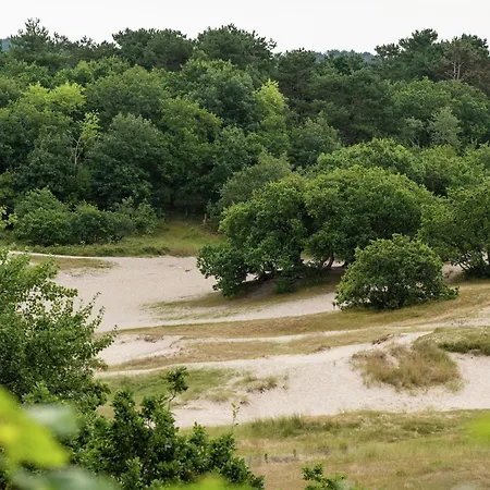 Alluring In With Terrace, Garden And Bbq アパート