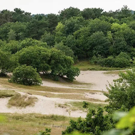 Alluring In With Terrace, Garden And Bbq *