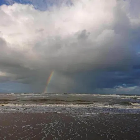 Alluring In With Terrace, Garden And Bbq *