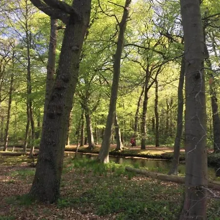 Alluring In With Terrace, Garden And Bbq アパート