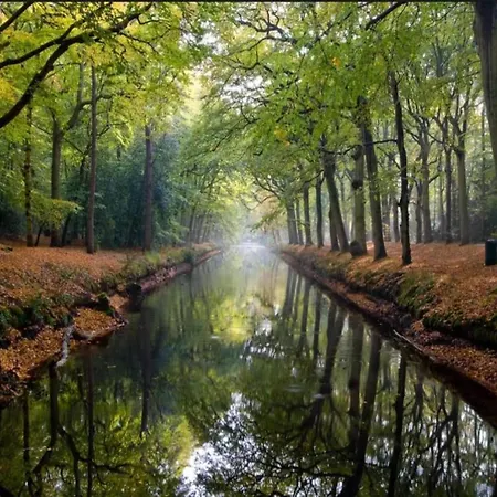 Alluring In With Terrace, Garden And Bbq アパート