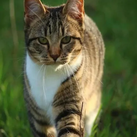 Alluring In With Terrace, Garden And Bbq アパート ベルゲン