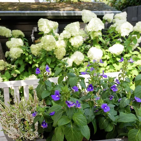 Alluring In With Terrace, Garden And Bbq Apartament