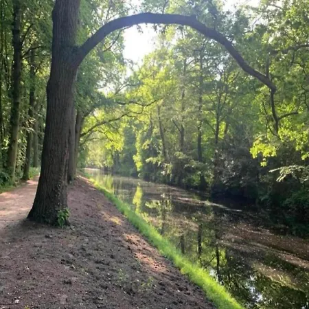 Alluring In With Terrace, Garden And Bbq Bergen