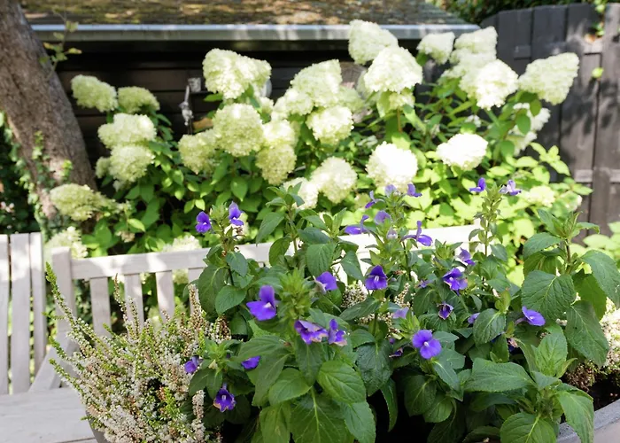 Alluring In With Terrace, Garden And Bbq Apartament