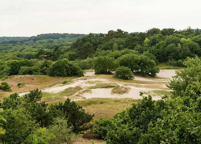 Apartament Alluring In With Terrace, Garden And Bbq Bergen