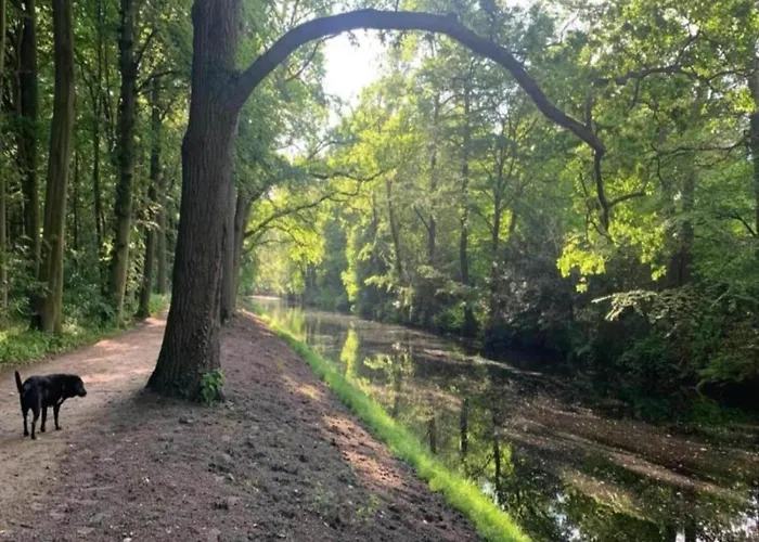 Alluring In With Terrace, Garden And Bbq Bergen