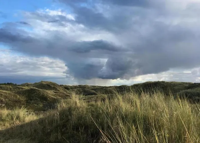 Alluring In With Terrace, Garden And Bbq