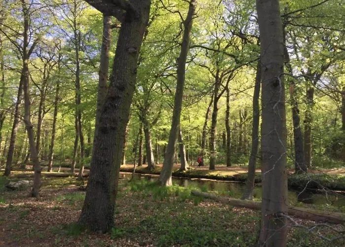 Alluring In With Terrace, Garden And Bbq * Bergen