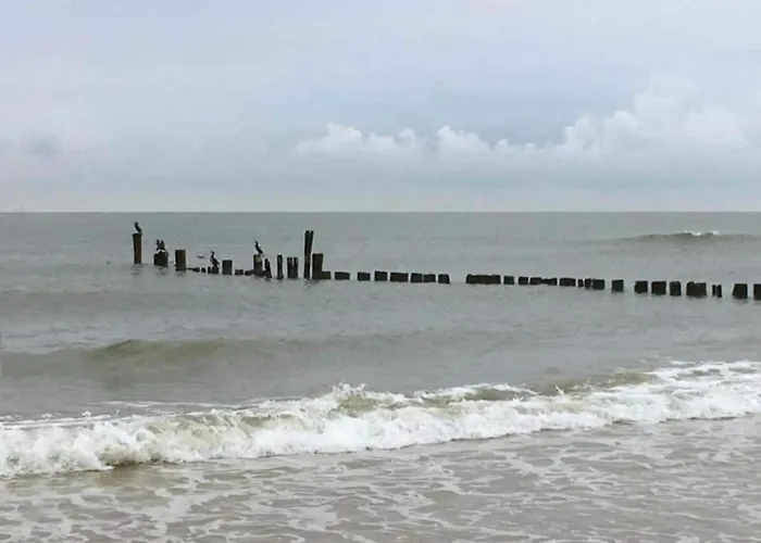 Alluring In With Terrace, Garden And Bbq Apartament Bergen