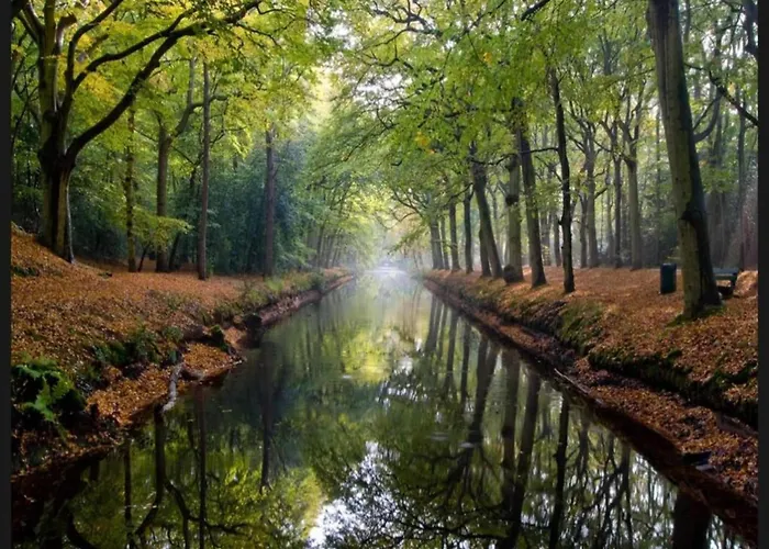 Alluring In With Terrace, Garden And Bbq