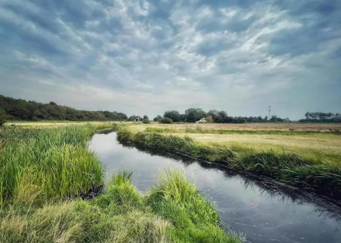 Alluring In With Terrace, Garden And Bbq