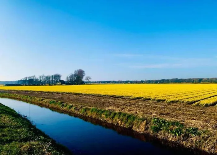 Alluring In With Terrace, Garden And Bbq Apartament